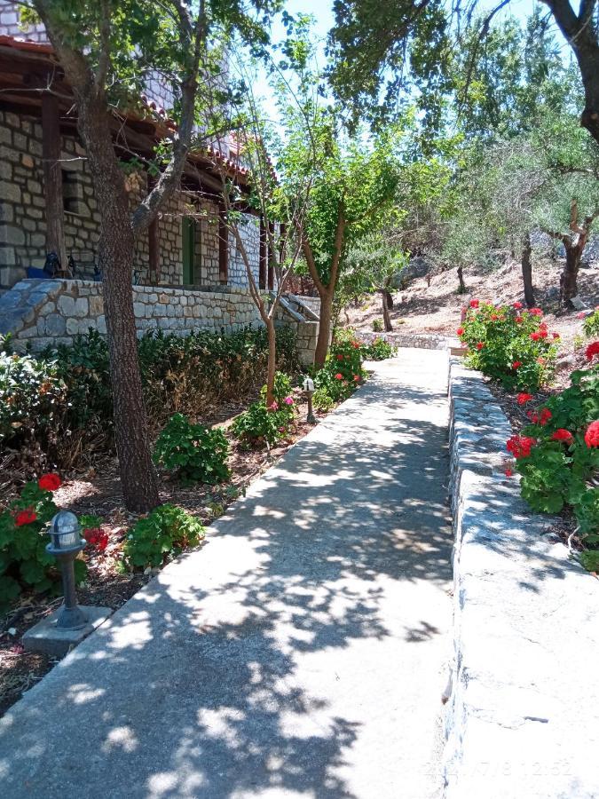 Villas Guest House فاثي المظهر الخارجي الصورة